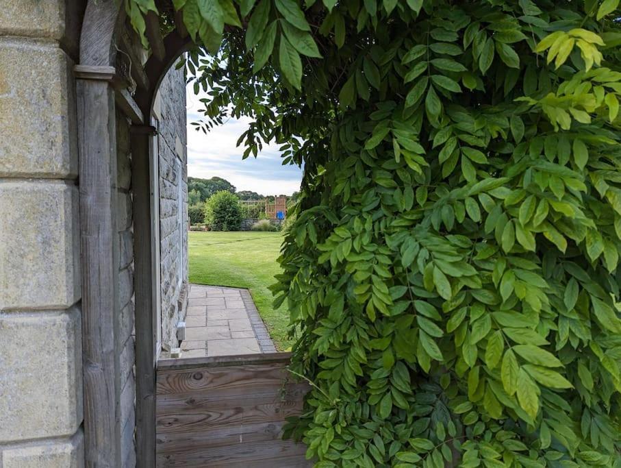 Millfield *